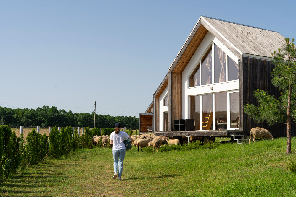 10+ Design Ideas for Modern Farmhouse