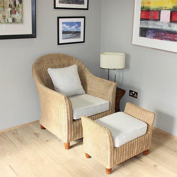 What is rattan? Information and some fact - Rowabi