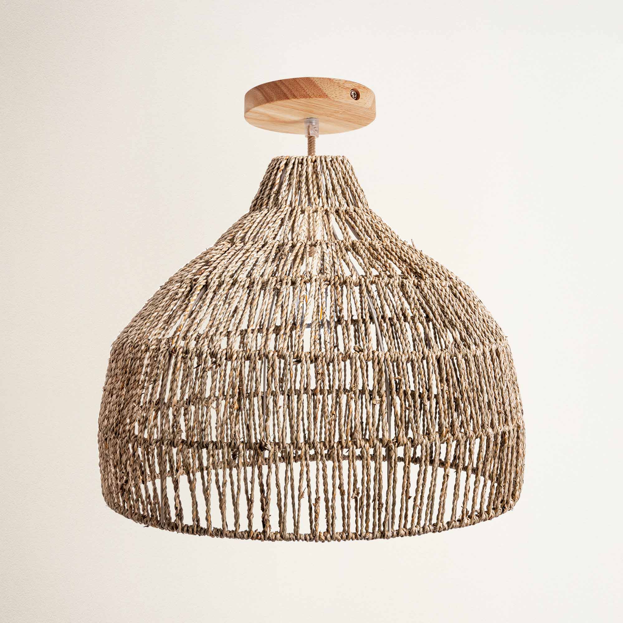 Dreamy Palm Fibers Flush Mount Light
