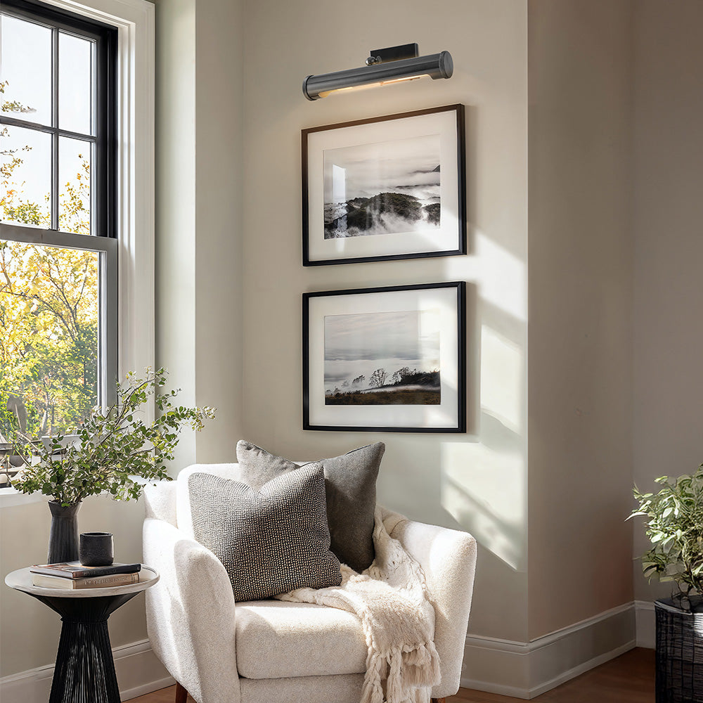 Hades Black Picture Light Sconce