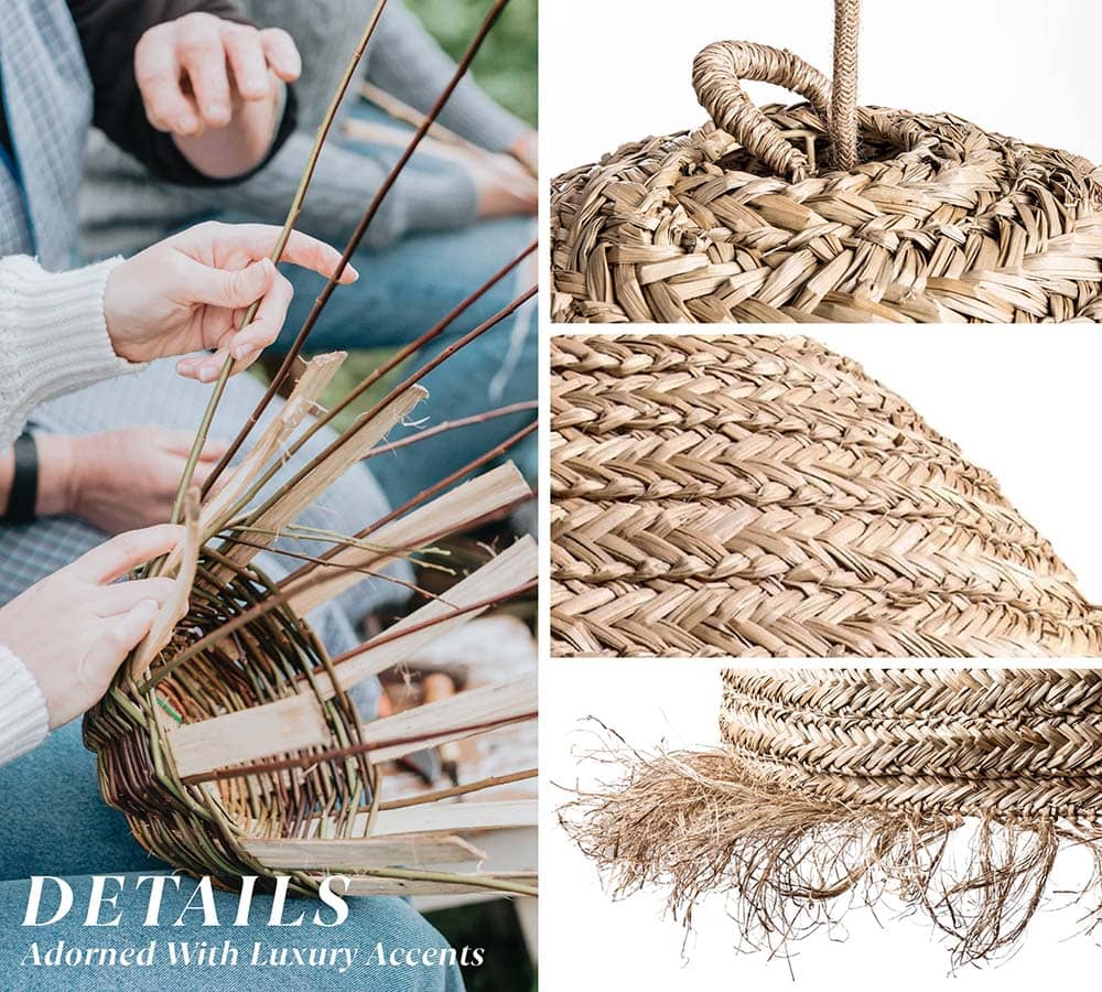 selene seagrass details