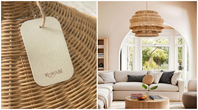 What is Rattan? Information and Everything You Need to Know