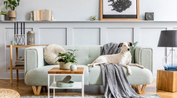 Gray modern farmhouse living room - Rowabi