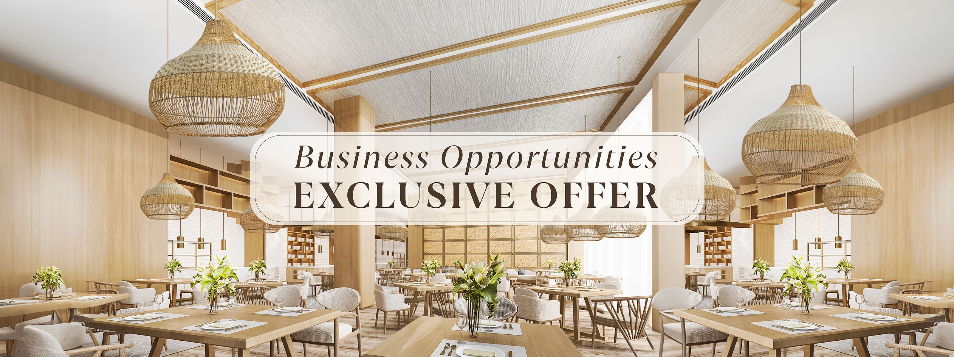 banner-exclusive-offer